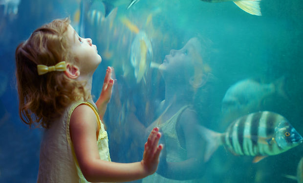 Girl at Aquarium