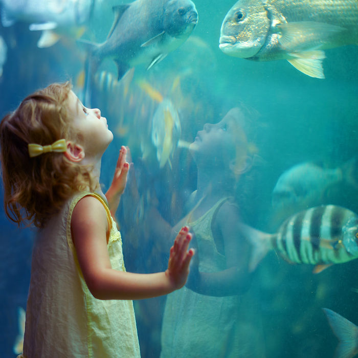 Girl at Aquarium