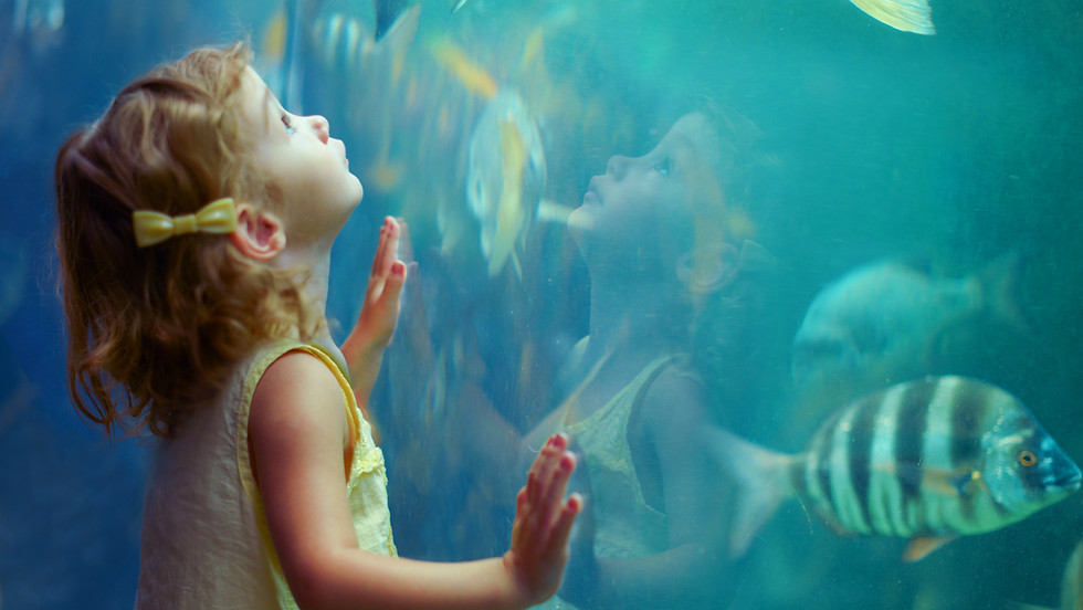 Under the Sea Rhymetime