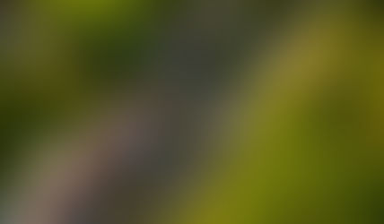 The best time to sell your Portland home