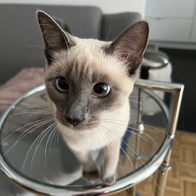 08-09-2022 - Pablo.jpeg