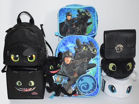 How To Train Your Dragon Bags + Backpacks + Lunch Box + Purse Collection