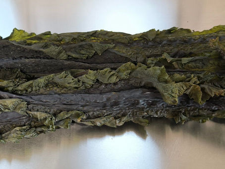 L'algue Kombu Royal de Bretagne : L’alliance du terroir français et de la tradition nippone