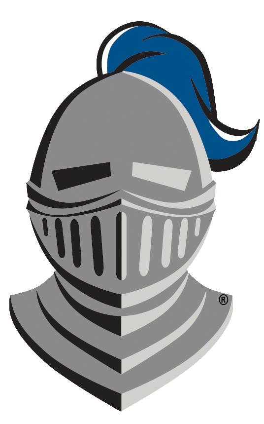 CHSEF_logo_head copy.gif