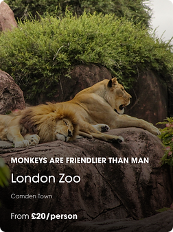 London Zoo@3x.png