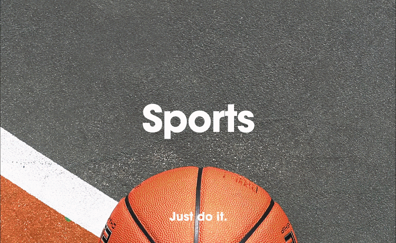 Stooch Sports.gif