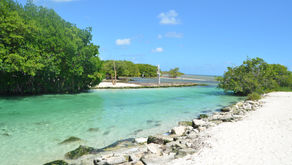 Cenote del Hotel Hacienda Tres Ríos (Cancún)