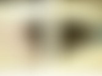 井上友庵の医療道具(8)ノコギリと麻酔