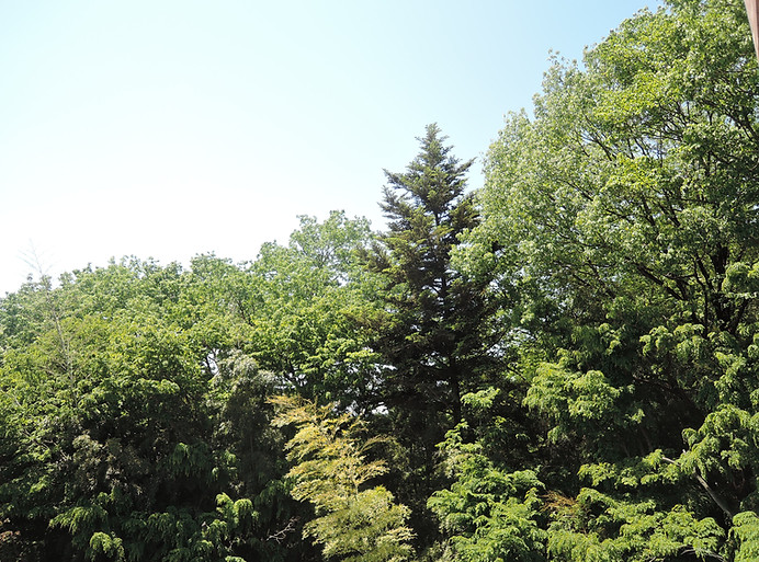DSCN2265.JPG