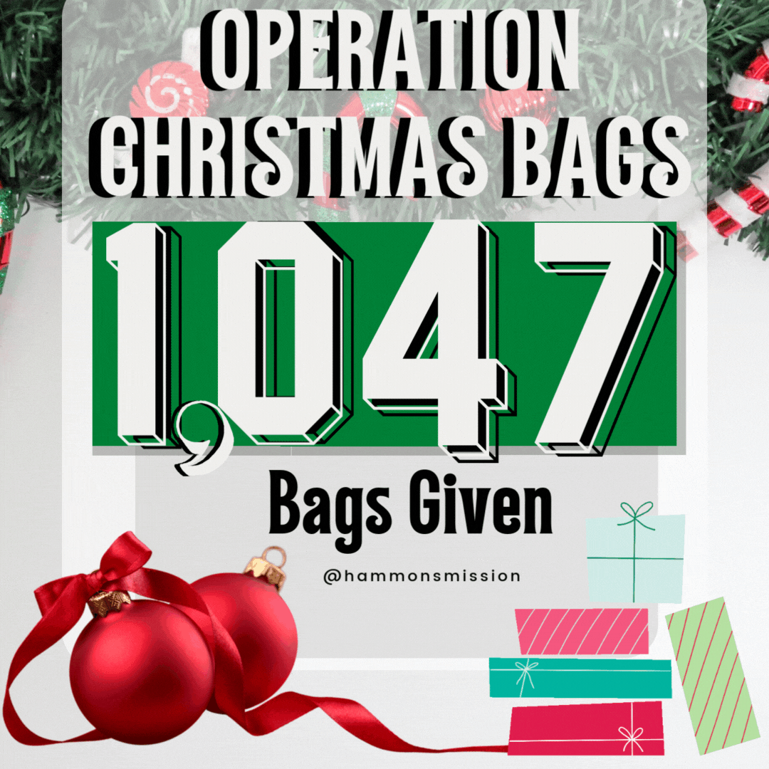 1047 CHRISTMAS BAGS GIVEN 2024.gif