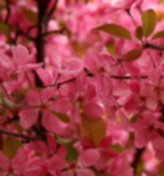 Brunch - Lorient - Traiteur - Événementiel - Cocktail - Apéritif - Plateaux de fruits - Grazing - Buffet - Réception - Gastronomie - Événement - Menu personnalisé - Cuisinier professionnel - Produits frais - Service traiteur- Option végétarienne - Ambiance conviviale - Cocktail - Fromage - Charcuterie - Organisation d'événements - Plateaux sur mesure - Brunch dominical - Buffet thématique - Couleur - Décoration - Fleurs - Mariage - Baby shower - Gender reveal - Réception - Professionnel - Entreprise - Cérémonie - Table - Cadeaux