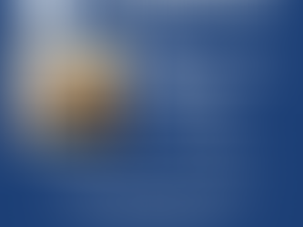 Thank you to all our volunteers