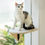 Thumbnail: MewooFun® Cat Window Hammock / Cat Air Chaise Longue / Cat Climbing Frame