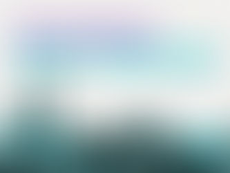 WILLOWDALE SAFETY TOWN HALL