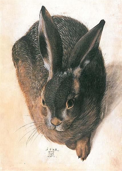 Lièvre,DURER,1528