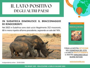 Il lato positivo degli altri Paesi