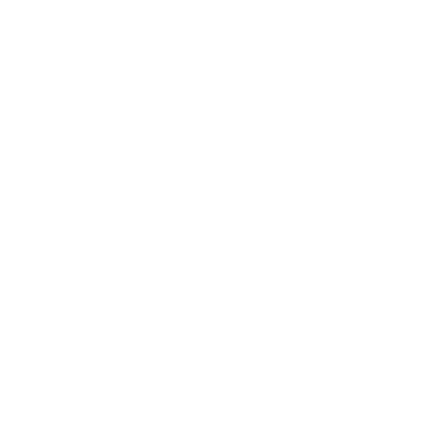 Logo_RZ_1_negativ.gif