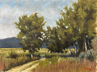 Country road leading between trees