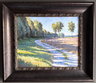 A country road curving around fields and trees on a sunny day