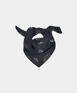 Pet Black Bandana