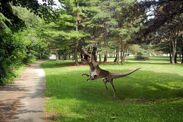 GreatDaneRex.jpg