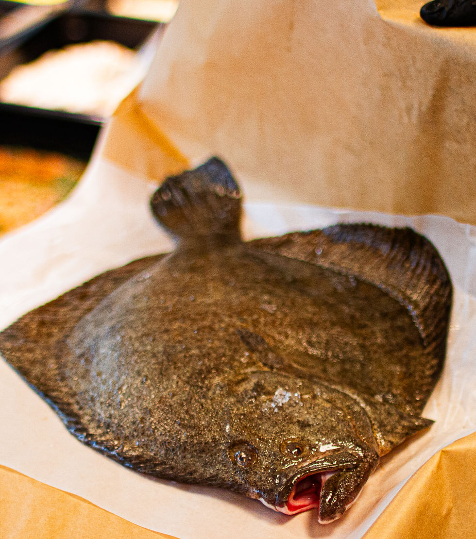 Turbot Whole 1pc/2kg