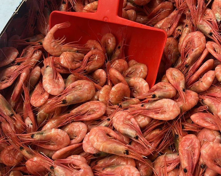 Shrimps 0,5kg