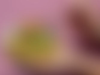 The Cost of Catering: Hiring a Mexican Food Truck on the Gold Coast