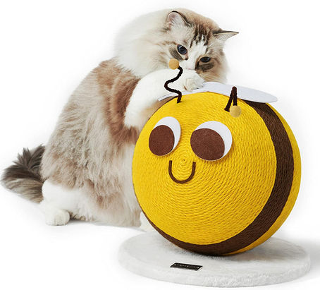 13 Best Stylish Scratching Posts for Cats in 2023