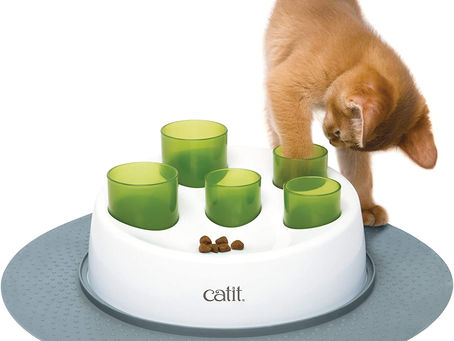 10 Best Interactive Cat Feeder for IQ Training, Mental Enrichment, and Stress Relief