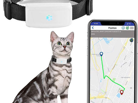 10 Best Pet Tracker Locator for Cats 2023 - Top Picks