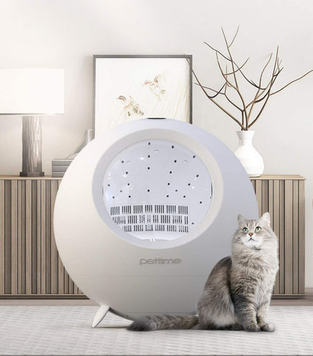 18 Best Cat Dryer, Automatic Smart Pet Dryer 2023