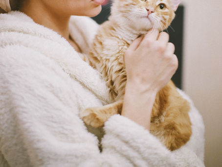 10 Amazon's Best Towels and Bathrobes for Indoor Cats 2023