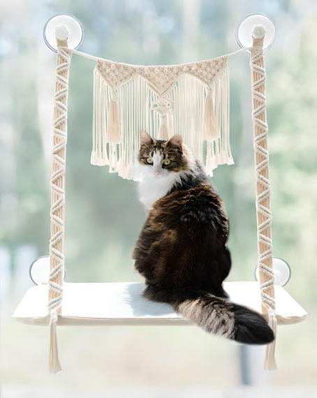 10 Best Cozy And Stylish Hammock for Indoor Cats 2023