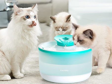 20 Stylish High Quality Best Automatic Water Fountain for Cats 2023