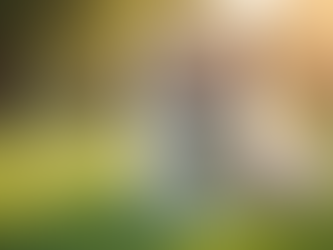 Adopting the Perfect Pomsky: Key Tips