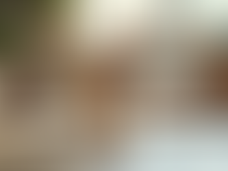 Finding Your Perfect Pomsky Puppy