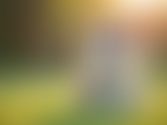 Popular Traits of Pomsky Puppies in Tennessee