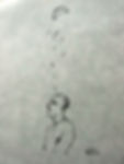 Habidis_J0619