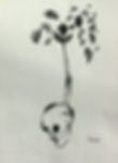 Habidis_J0626