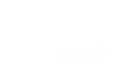 DS_Logo No Background.png