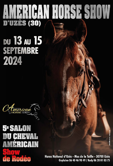 american horse show salon cheval américain rodéo cowboy