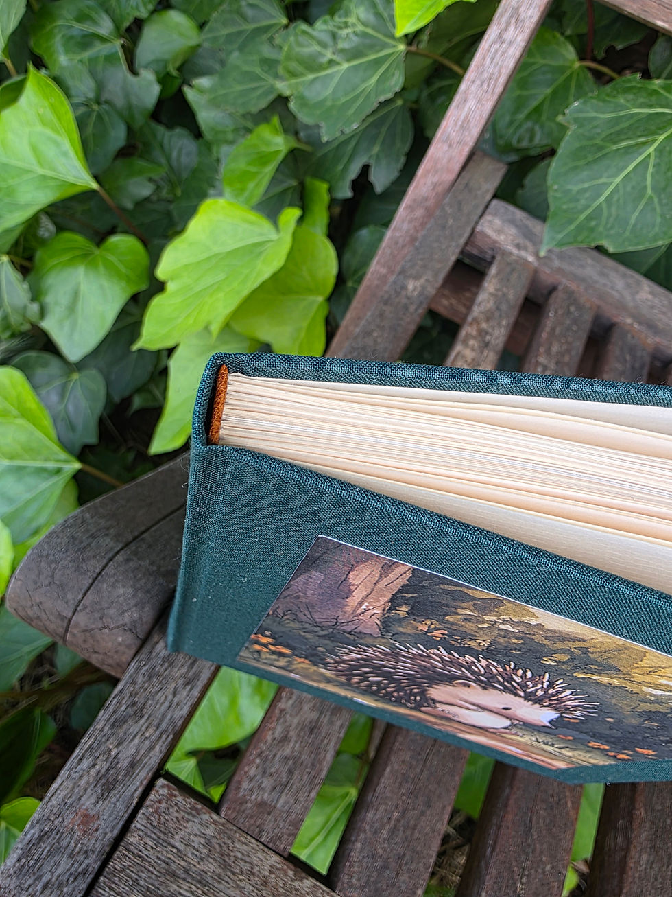 Miniature : Petit carnet hérisson