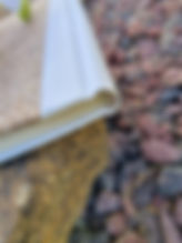 tête du livre, demi toile blanche avec jute