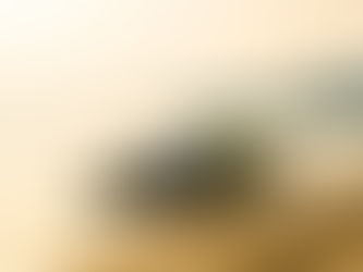 Marina Dinner Cruise and Jet Ski Dubai: The Perfect Blend of Luxury and Adventure