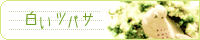 banner.gif