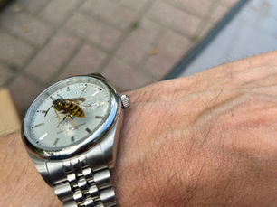 Watch Of The Session