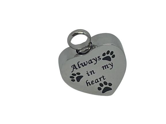 Miniature : 4020- Toujours