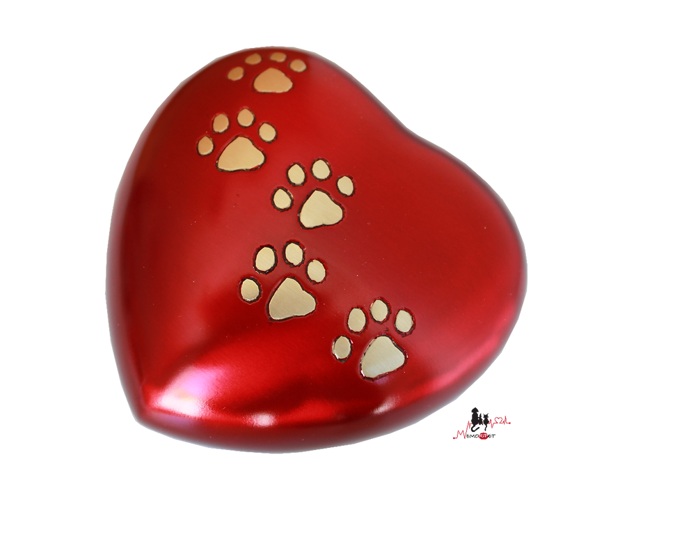 Miniature : urne laiton rouge vif patte de animal, chien chat lapin oiseau hamster cendres incinération, animal domestique
