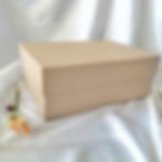 Base and Lid Box 255 x 180 x 95